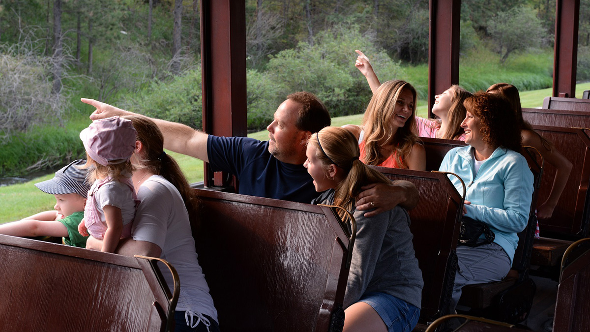 Family enjoying the train ride