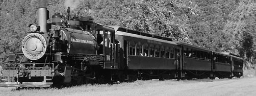 Steam Locomotive #104