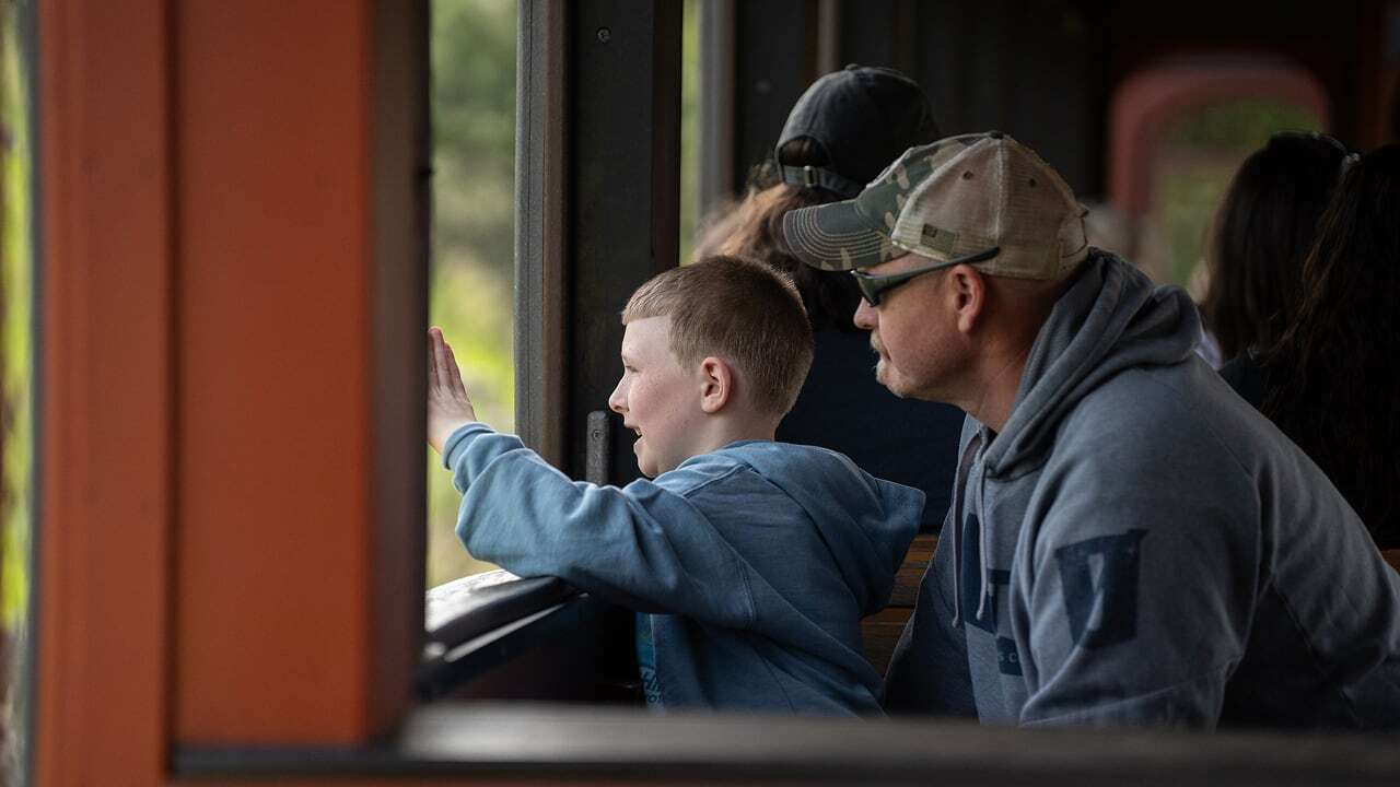 Young guest with family look out the window of the train. 
