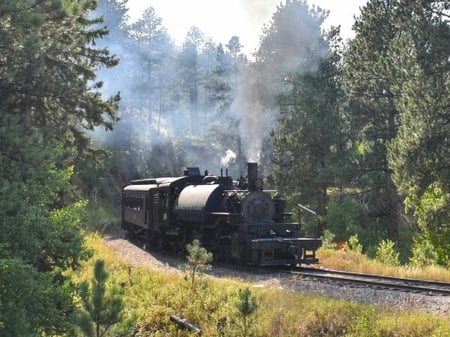 What You’ll See Along the Train Route