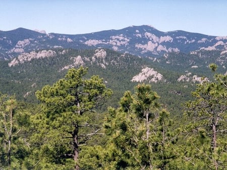 A view from one of the Parks near 1880 train.
