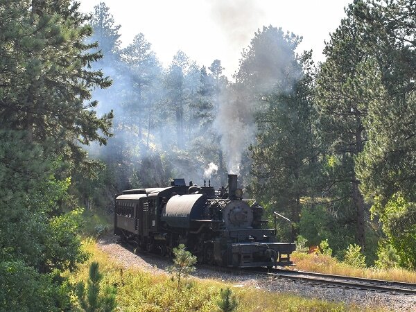 1880 Train steam locomotive pulling passenger cars around a curve through Black Hills National Forest, with steam rising above the pine trees